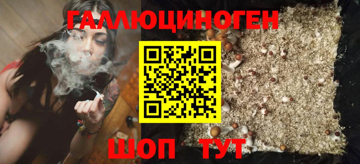 Алатырь  Галлюциногенные грибы GOLDEN TEACHER  Вход с VPN 